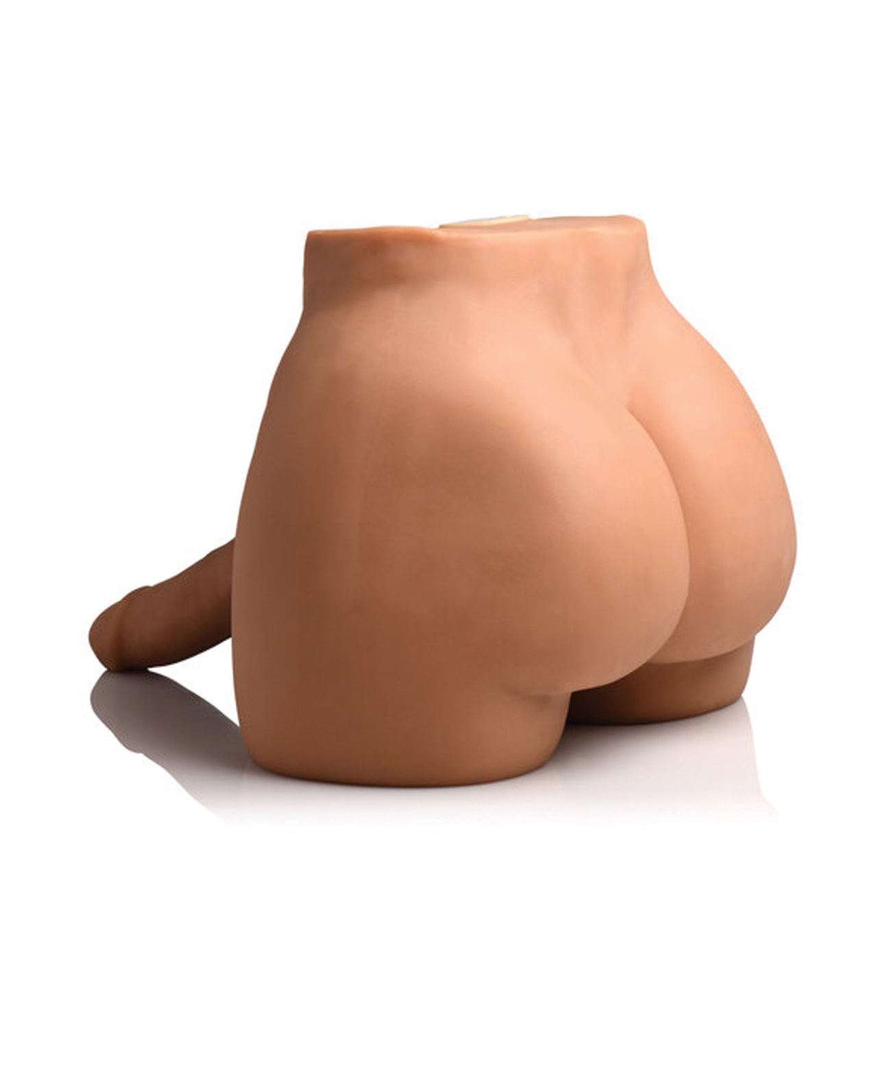 249545684.jpg