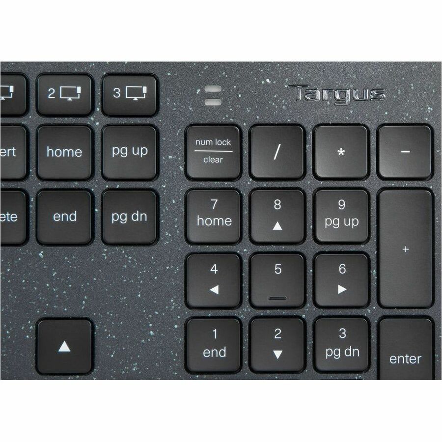 242926704.jpg