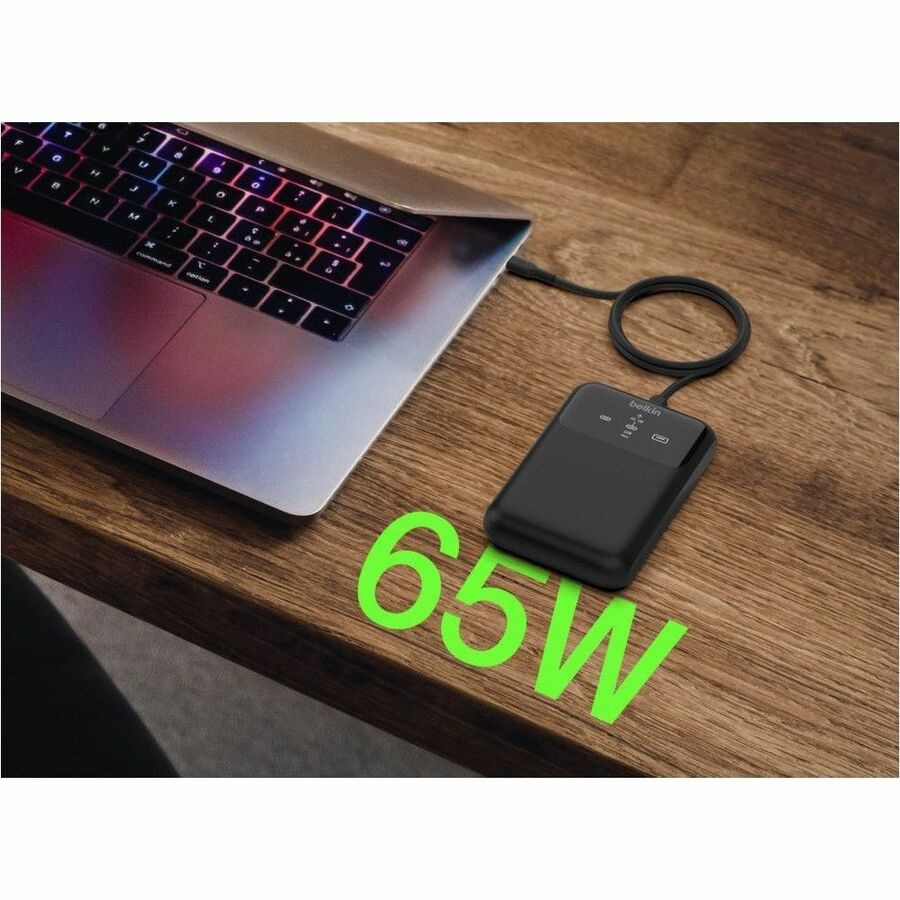 243196664.jpg