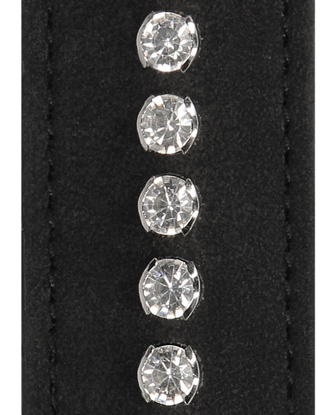 249545532.jpg