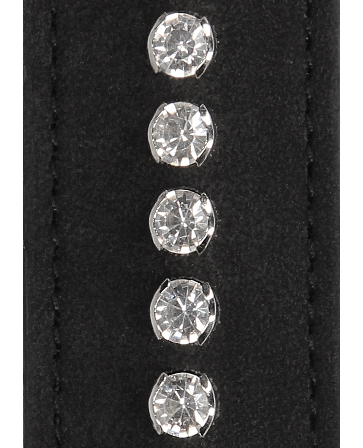 249545532.jpg