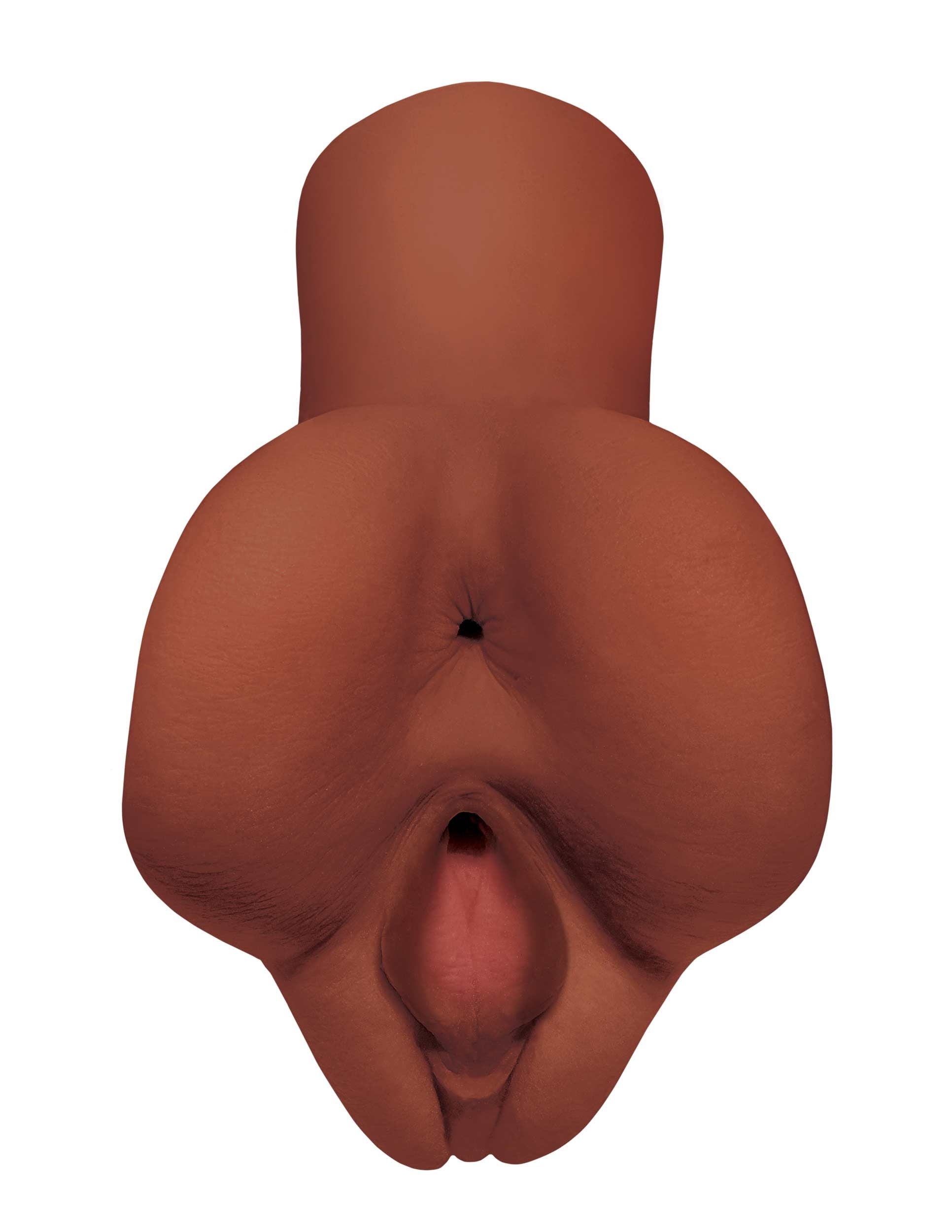 311436197.jpg